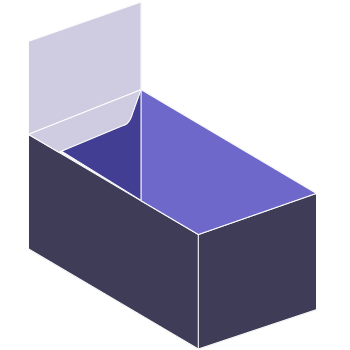 Display Box custom packaging