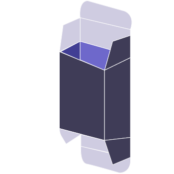 Straight Tuck End custom packaging